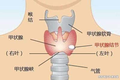 图片10.jpg