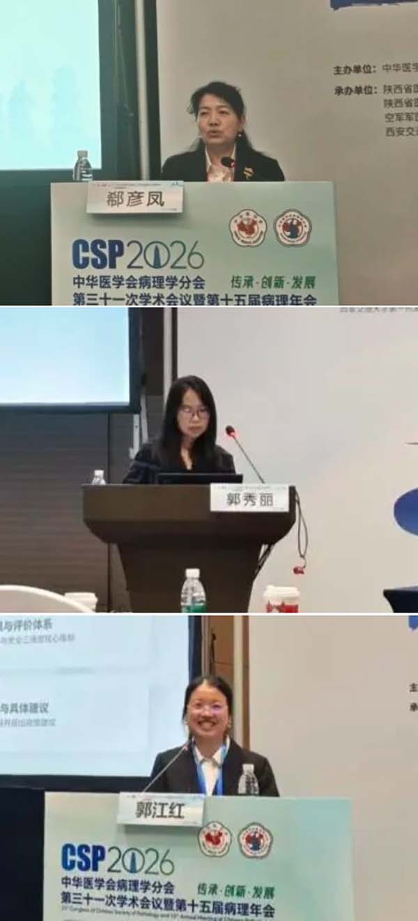 拼5.jpg